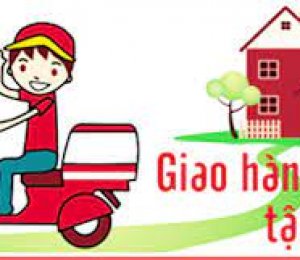                                  GIAO HÀNG TẬN NƠI                            